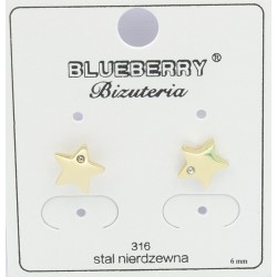 Kolczyki Blueberry Stal 316L - BBK8033