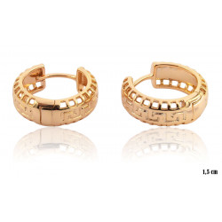 Xuping earrings Gold Plated 18k - MF14931