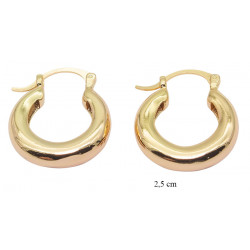 Xuping earrings Gold Plated 18k - MF17796