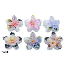 Kleszcze do włosów - hawajki - MF39514