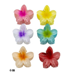 Kleszcze do włosów - hawajki - MF39490