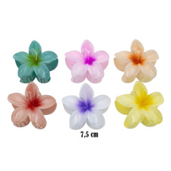 Kleszcze do włosów - hawajki - MF39473